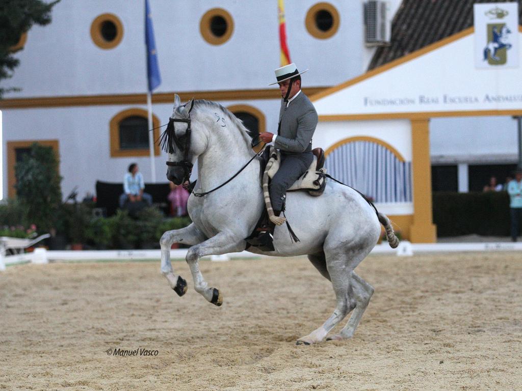 Copa del Rey de Doma Vaquera