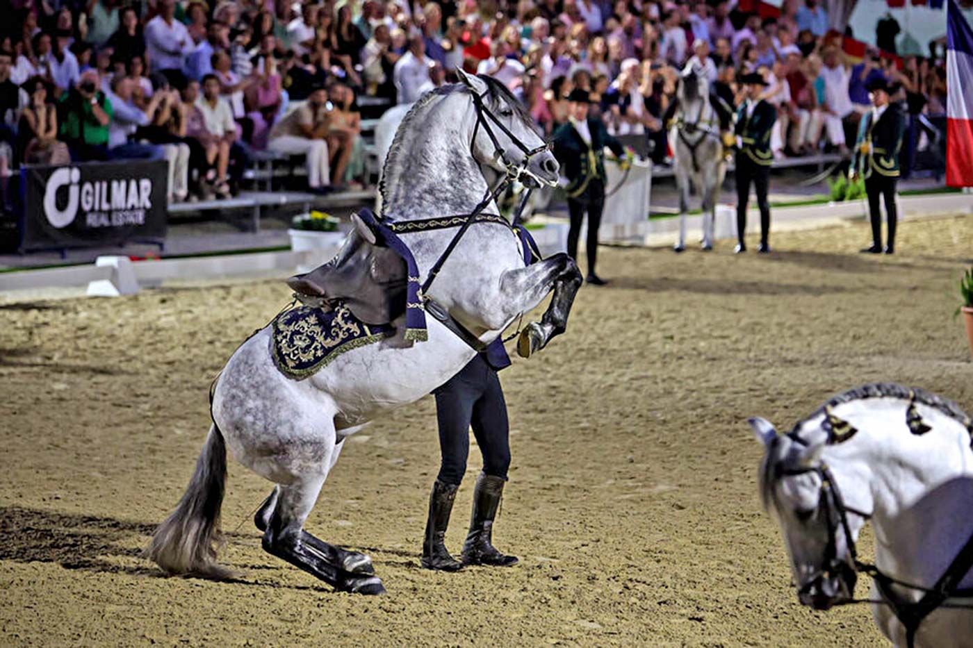 GILMAR x Gala V Escuelas Jerez