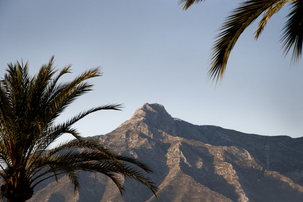 Pico de La Concha en Marbella enmarcado por palmeras, con un cielo despejado al atardecer que resalta su majestuosidad.