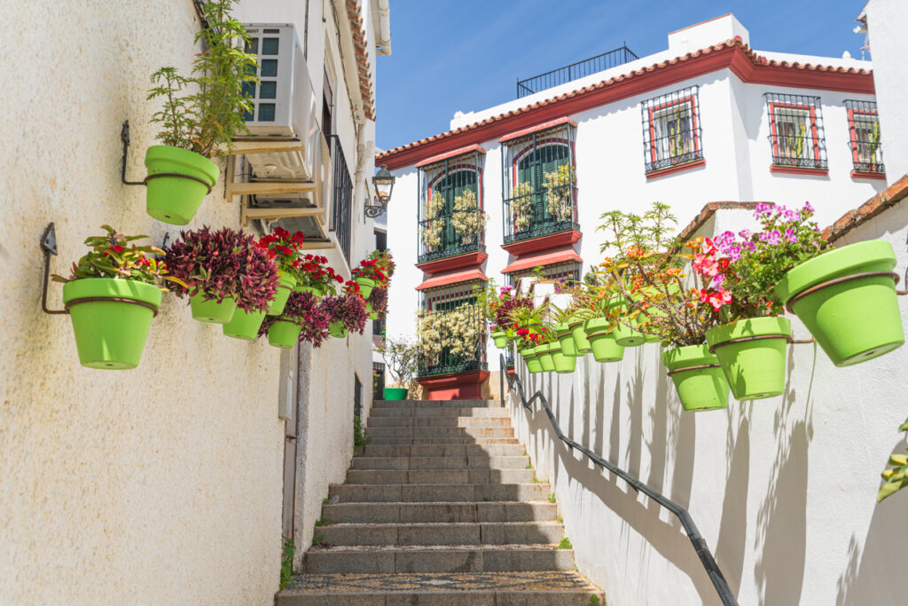 Escalera decorada con macetas verdes y flores coloridas en una calle típica de Estepona, rodeada de casas de estilo andaluz.